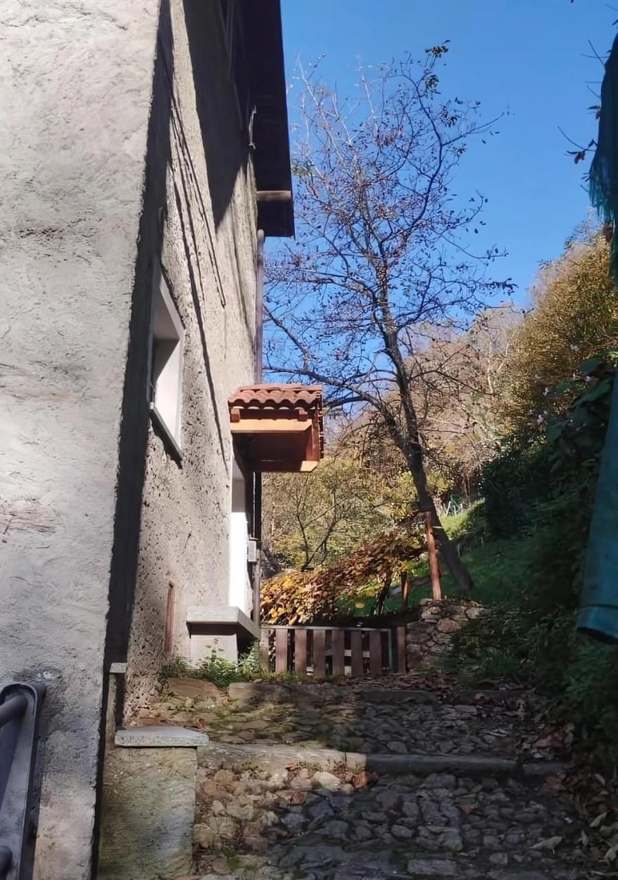 Alpaca'S House: Green, Animals & Lake View Bellano Eksteriør bilde